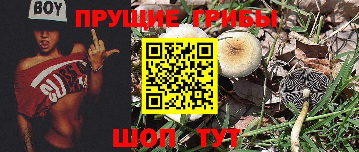 Ноябрьск  Галлюциногенные грибы Psilocybe  цена   Вход с VPN 